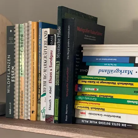 דירה Kleine Schwarzwaldlodge אפרינגן-קירכן