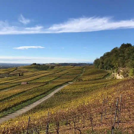 Kleine Schwarzwaldlodge Efringen-Kirchen